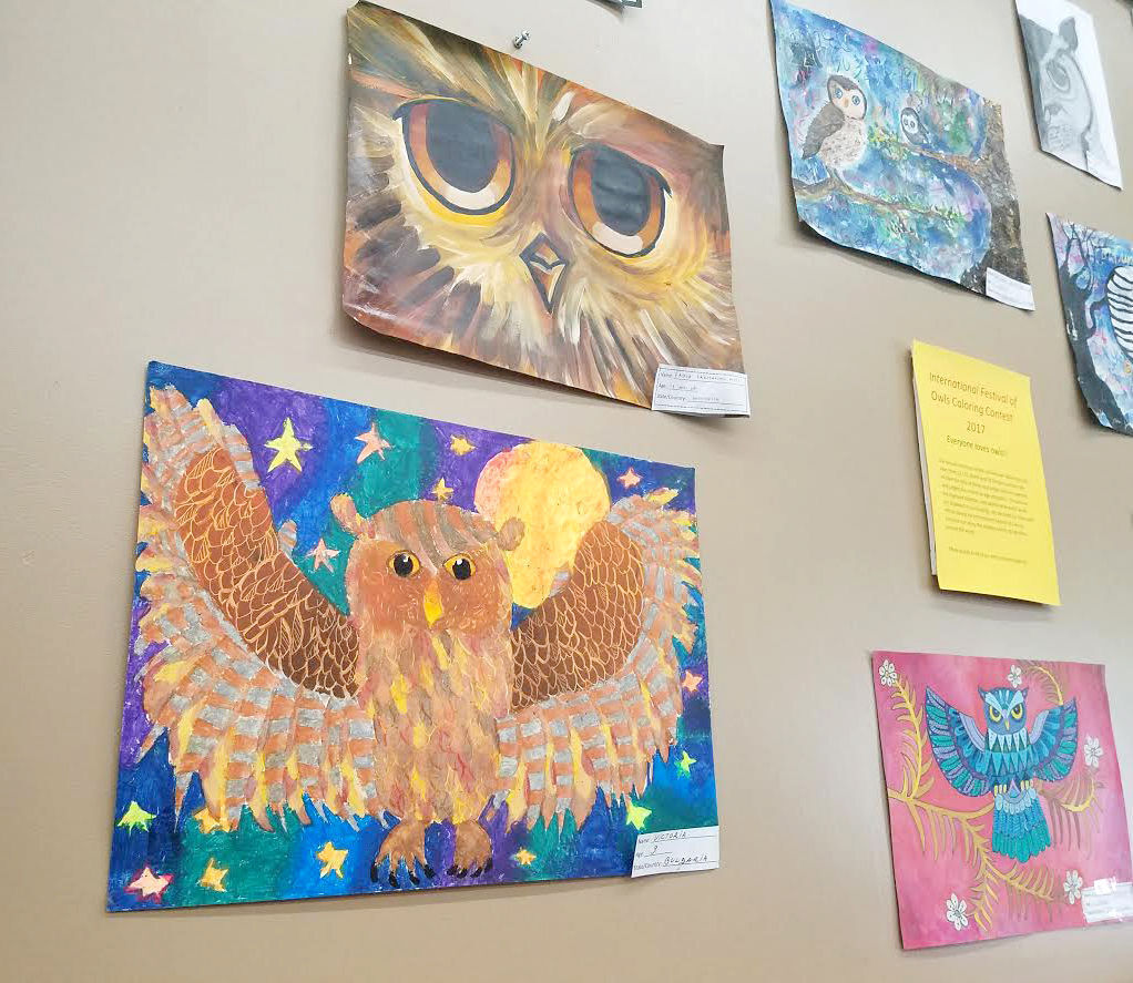 owl art